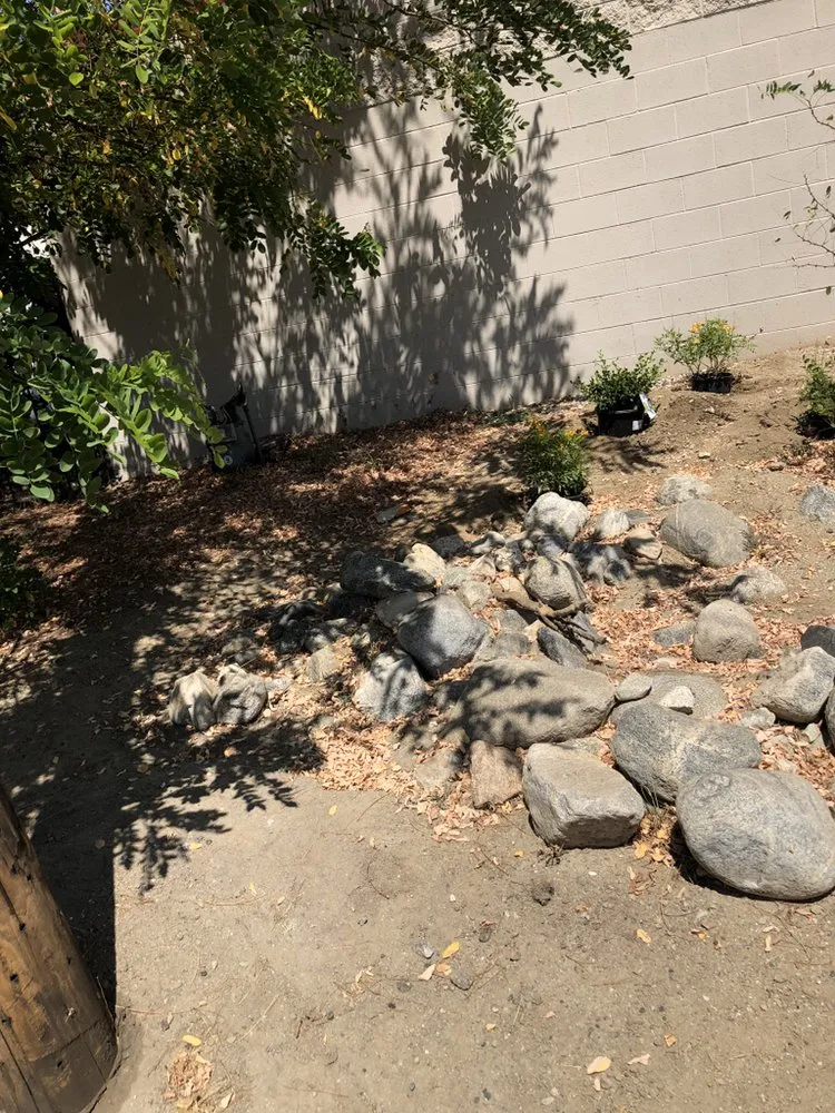 Top-rated landscaping services for outdoor upgrades in Calimesa, CA by Oliva Lawn Service