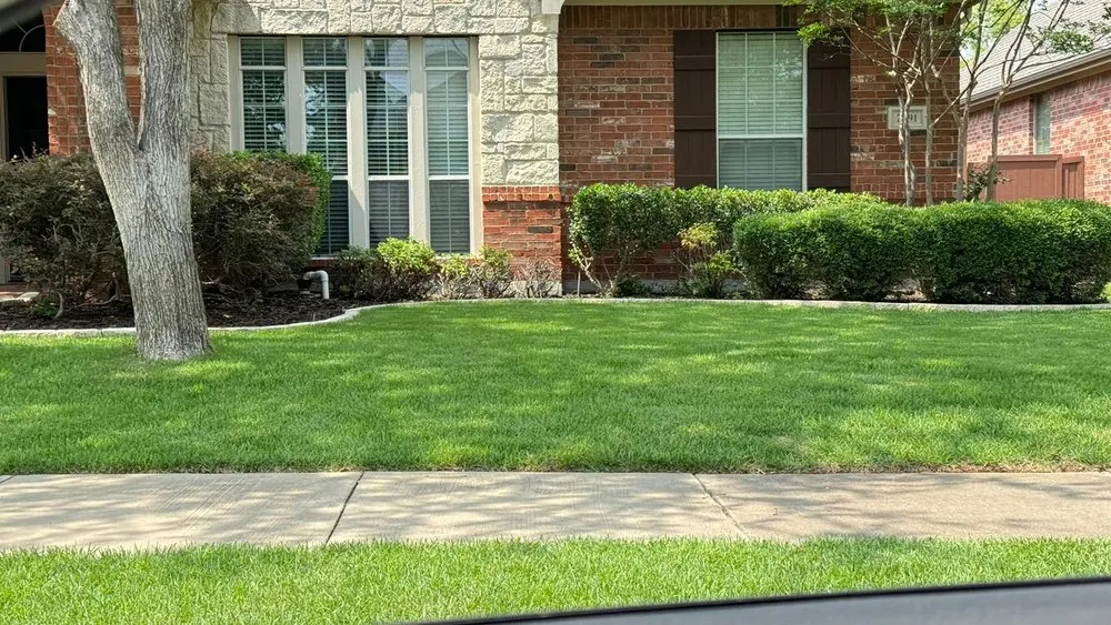 Custom yard cleanup service in Lancaster, TX by O'Livar Landscaping