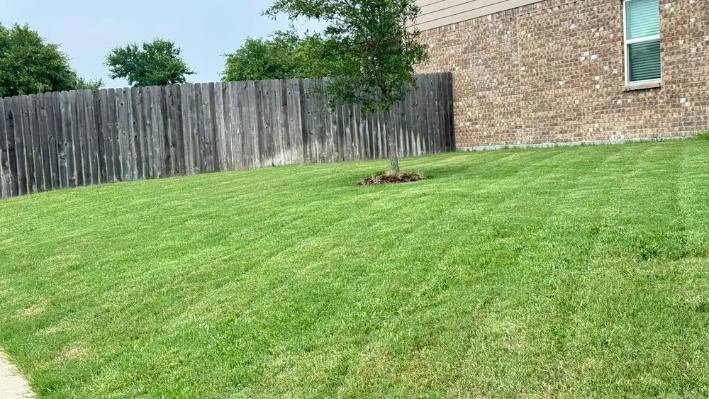 Custom residential landscaping for homes in Lancaster, TX by O'Livar Landscaping