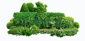 Trusted yard cleanup service experts serving Duluth, GA - Olivares Landscaping