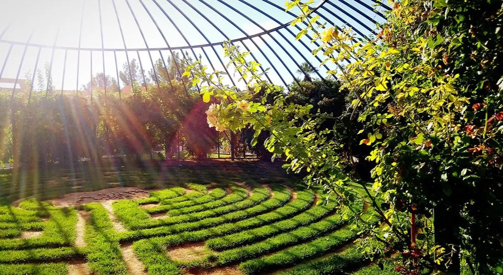 Trusted residential landscaping in Duluth, GA - Olivares Landscaping