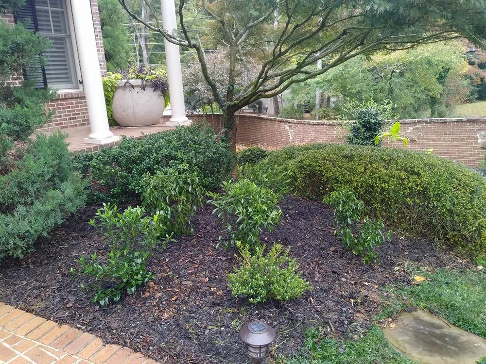Local yard cleanup service in Duluth, GA - Olivares Landscaping