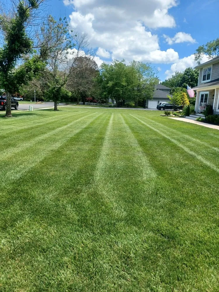 Custom yard maintenance in Jersey City, NJ - Olivares Landscaping