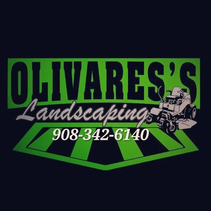 Local yard cleanup service in Jersey City, NJ by Olivares Landscaping