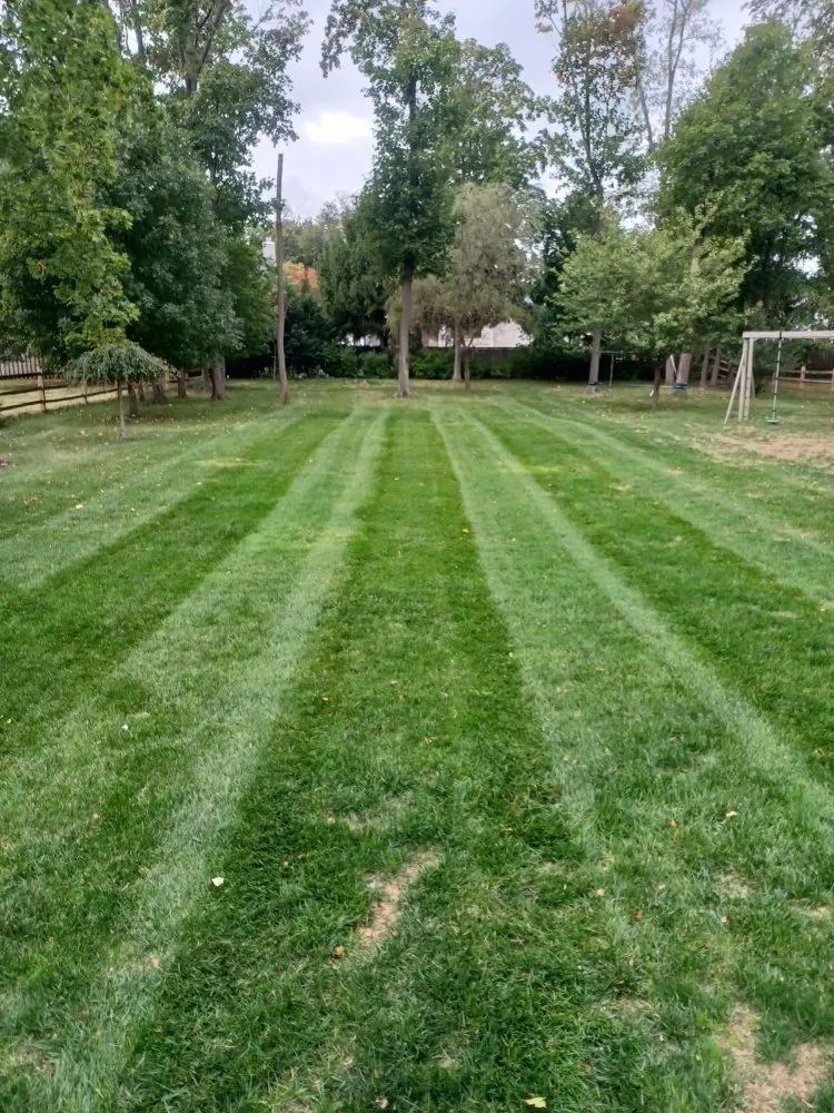 Professional landscaping services in Jersey City, NJ - Olivares Landscaping