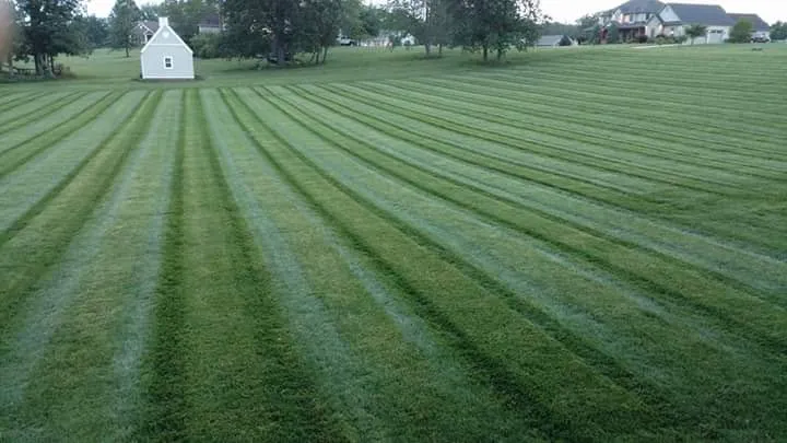 Local lawn care service for homes in Jersey City, NJ by Olivares Landscaping