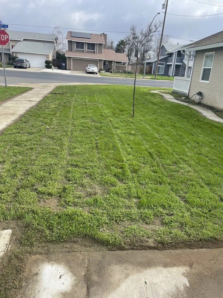 Reliable landscape design near you across Turlock, CA - Olivares Lawn Maintenance