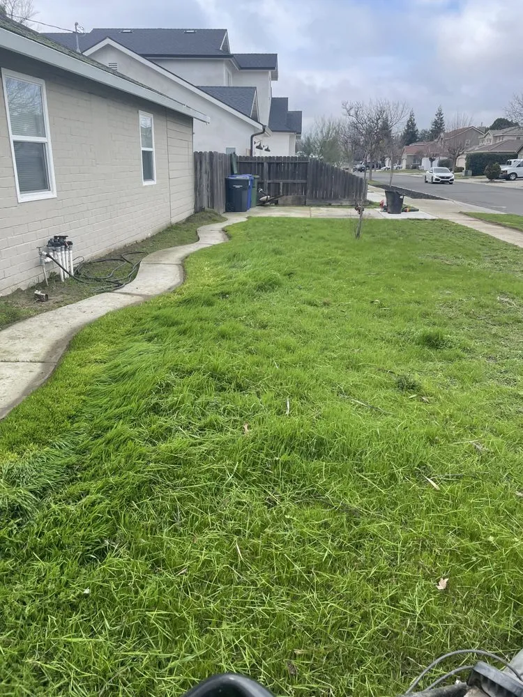 Custom garden landscaping experts serving Turlock, CA - Olivares Lawn Maintenance