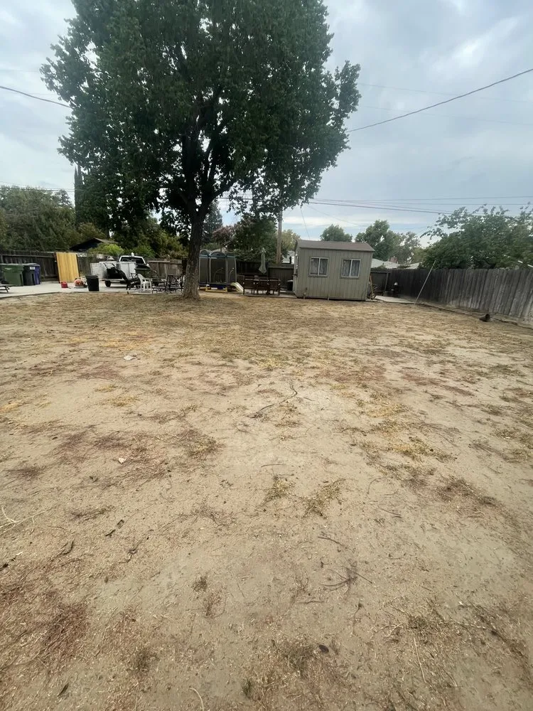 Top-rated landscape installation for residential properties across Turlock, CA - Olivares Lawn Maintenance