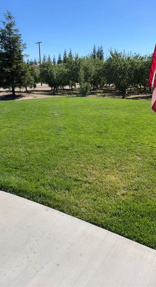 Professional lawn mowing service in Turlock, CA by Olivares Lawn Maintenance