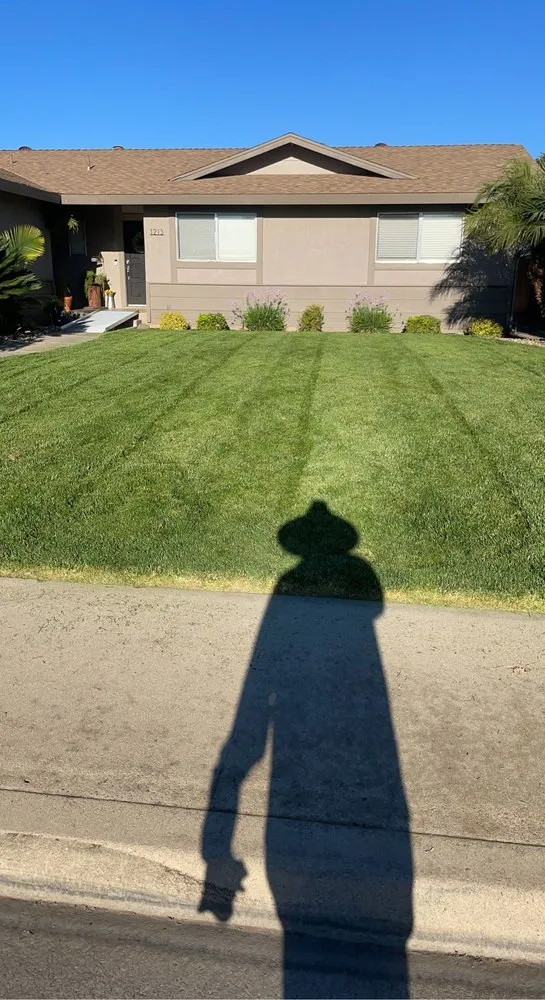 Expert landscaping services in Turlock, CA by Olivares Lawn Maintenance