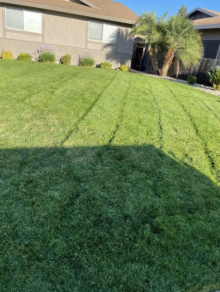 Reliable landscape design for residential properties in Turlock, CA by Olivares Lawn Maintenance