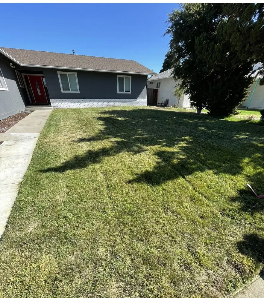 Professional lawn care service in Turlock, CA by Olivares Lawn Maintenance