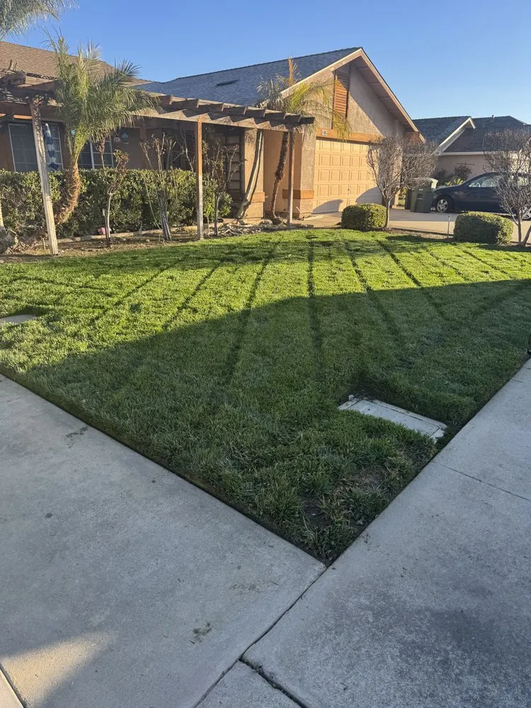 Trusted landscaping services in Turlock, CA - Olivares Lawn Maintenance