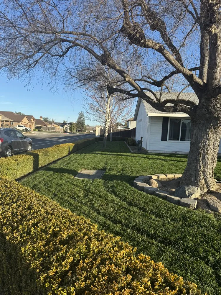 Professional outdoor landscaping with custom design in Turlock, CA by Olivares Lawn Maintenance