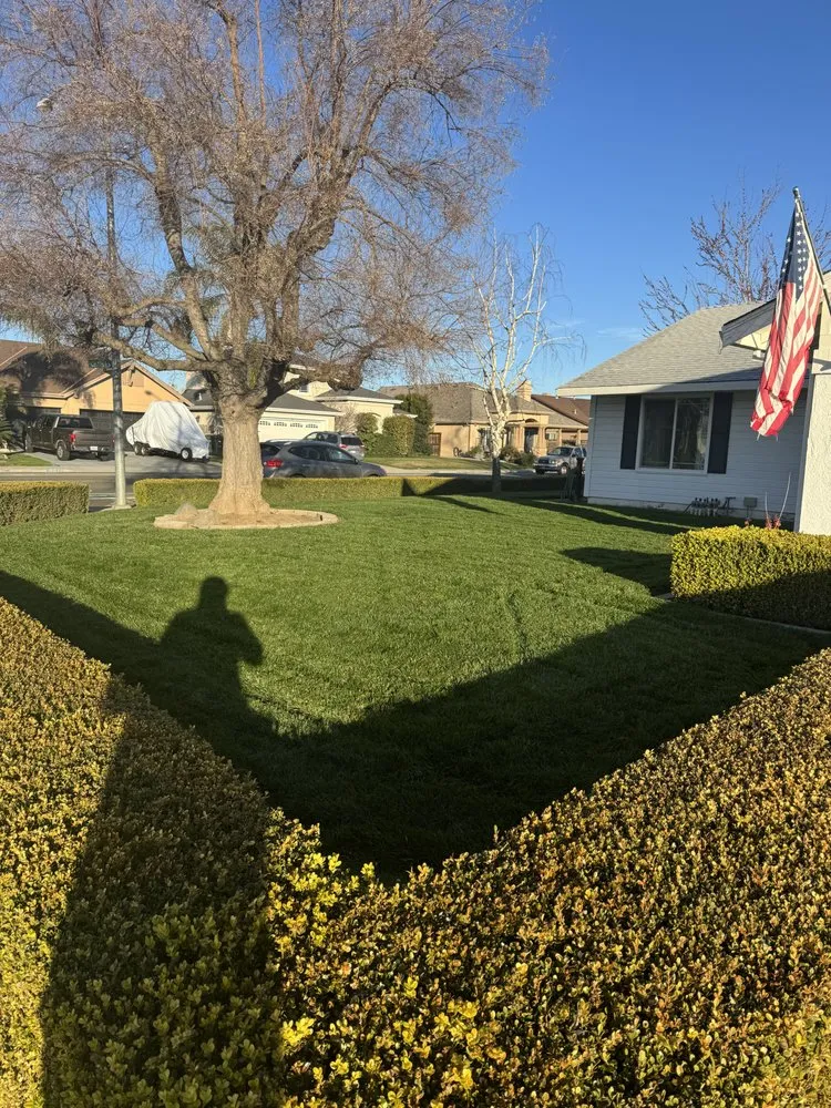 Custom residential landscaping for residential properties in Turlock, CA by Olivares Lawn Maintenance