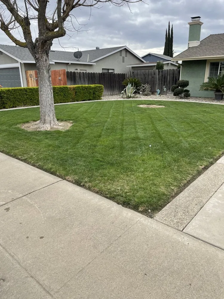 Professional lawn care service in Turlock, CA by Olivares Lawn Maintenance