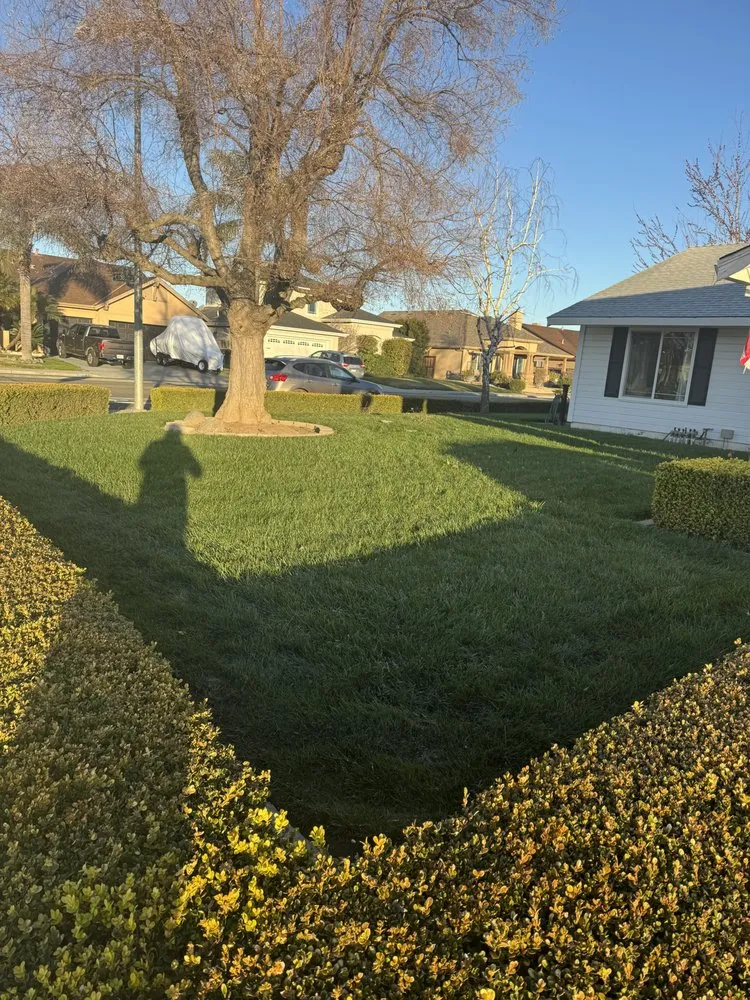 Expert residential landscaping for outdoor upgrades in Turlock, CA by Olivares Lawn Maintenance