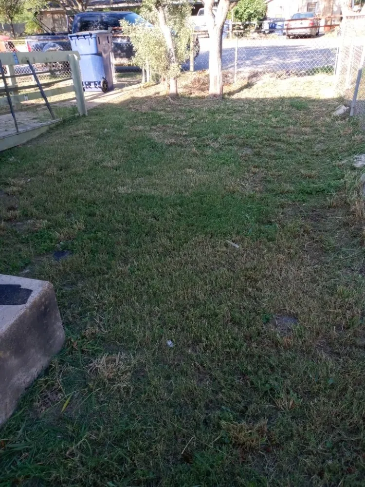 Trusted garden landscaping for outdoor upgrades across Mercedes, TX - Olivares Lawn Service