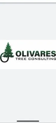 Olivares Tree Consulting Logo