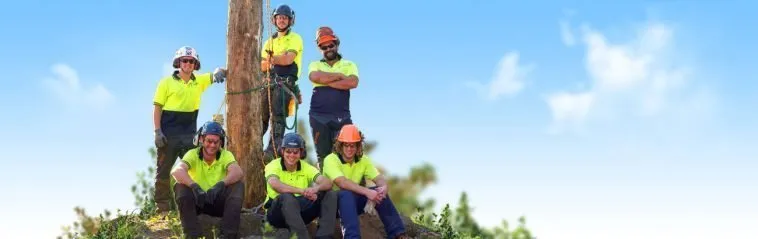 Expert residential landscaping experts serving San Mateo, CA - Olivares Tree Service