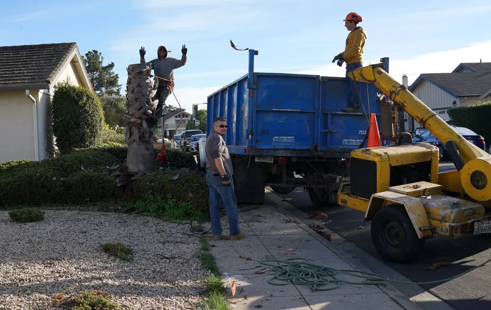 Trusted landscape design experts serving San Mateo, CA - Olivares Tree Service