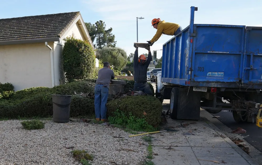 Custom outdoor landscaping experts serving San Mateo, CA - Olivares Tree Service