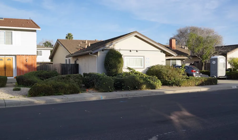 Reliable outdoor landscaping for year-round maintenance in San Mateo, CA by Olivares Tree Service