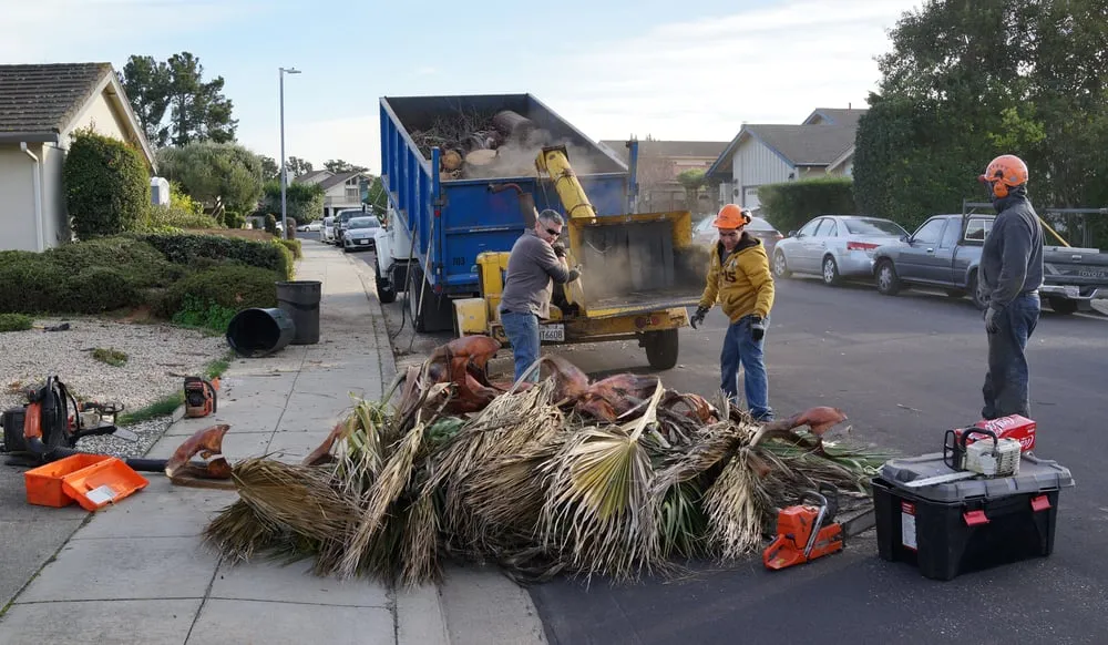 Local yard maintenance with custom design across San Mateo, CA - Olivares Tree Service