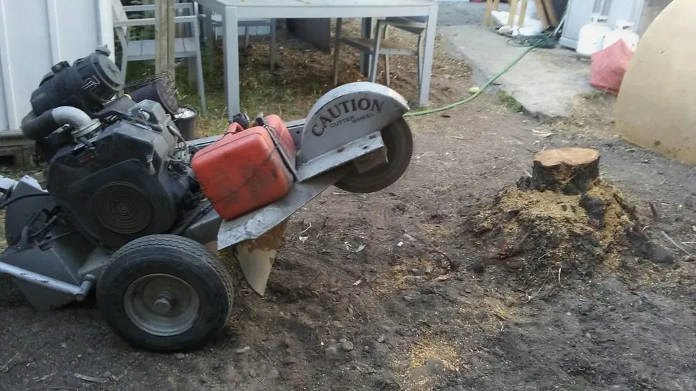 Expert lawn mowing service in San Mateo, CA by Olivares Tree Service