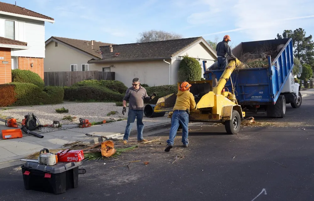 Professional landscape design in San Mateo, CA by Olivares Tree Service