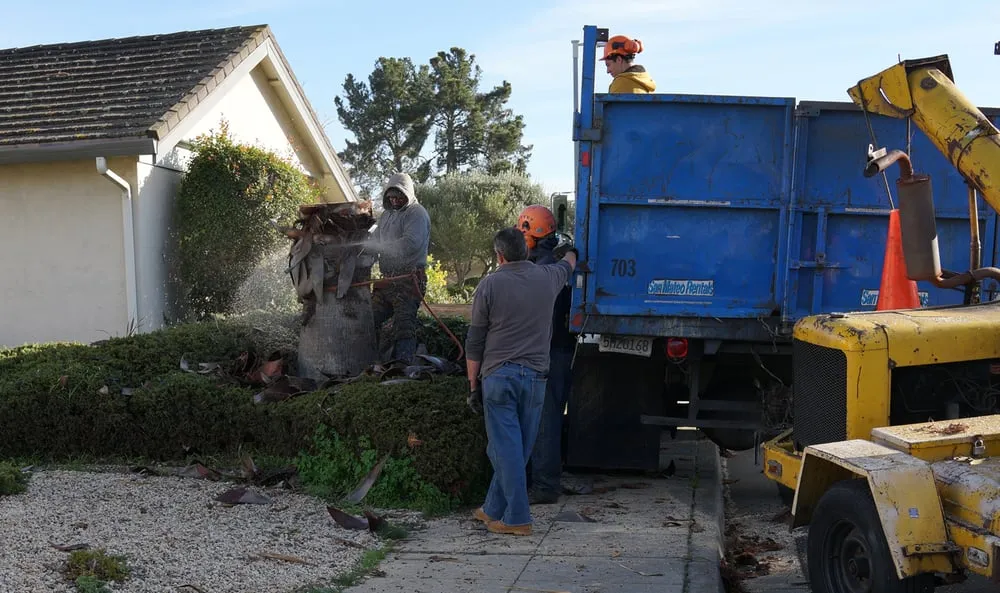 Reliable landscape installation in San Mateo, CA by Olivares Tree Service