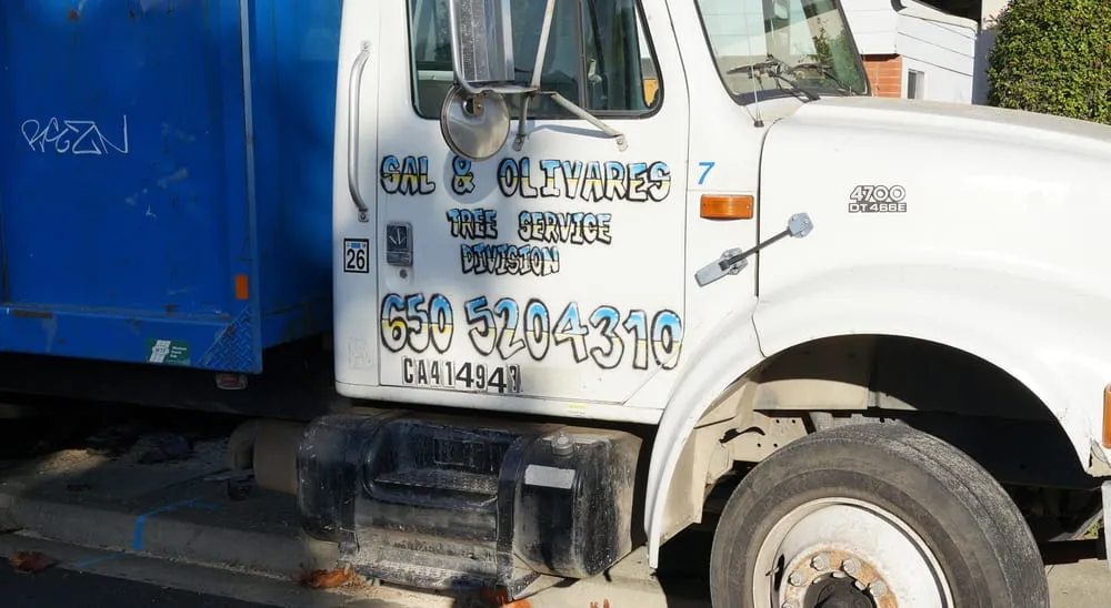 Reliable residential landscaping in San Mateo, CA - Olivares Tree Service