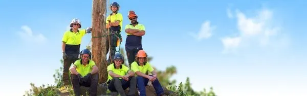 Olivares Tree Service Logo