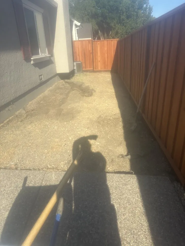 Custom lawn care service for year-round maintenance in Brentwood, CA by Olivarez Landscape