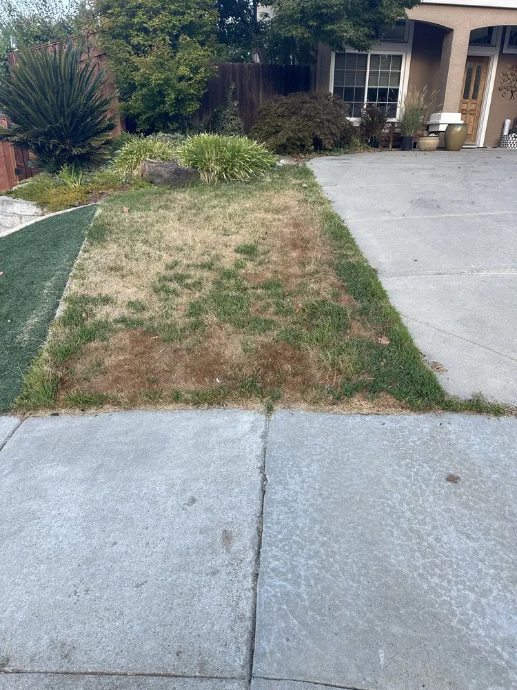 Expert landscaping services in Brentwood, CA by Olivarez Landscape