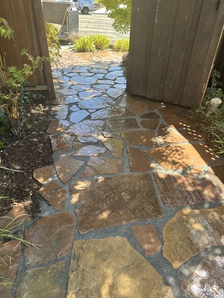 Affordable yard cleanup service experts serving Brentwood, CA - Olivarez Landscape
