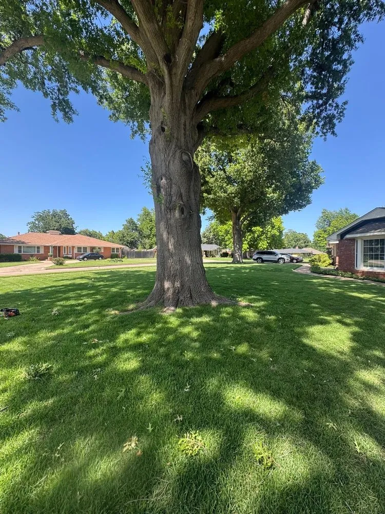 Professional landscaping services in Ponca City, OK by Olivas Landscaping L & L