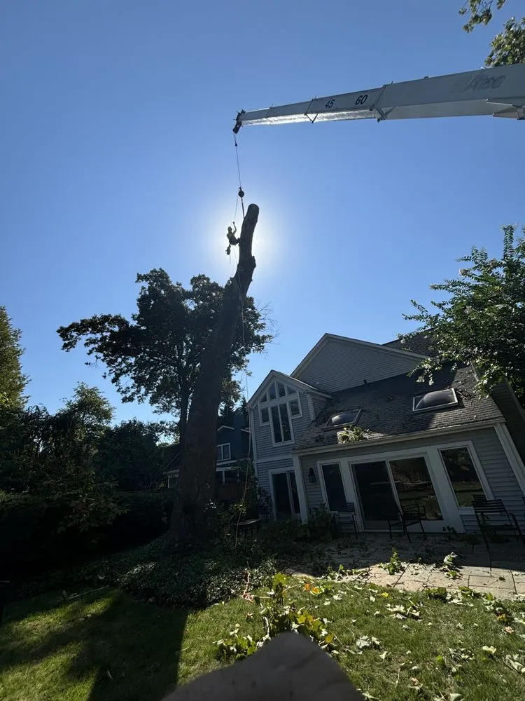 Custom landscape design in Silver Spring, MD - Oliva's Tree Services & Landscaping