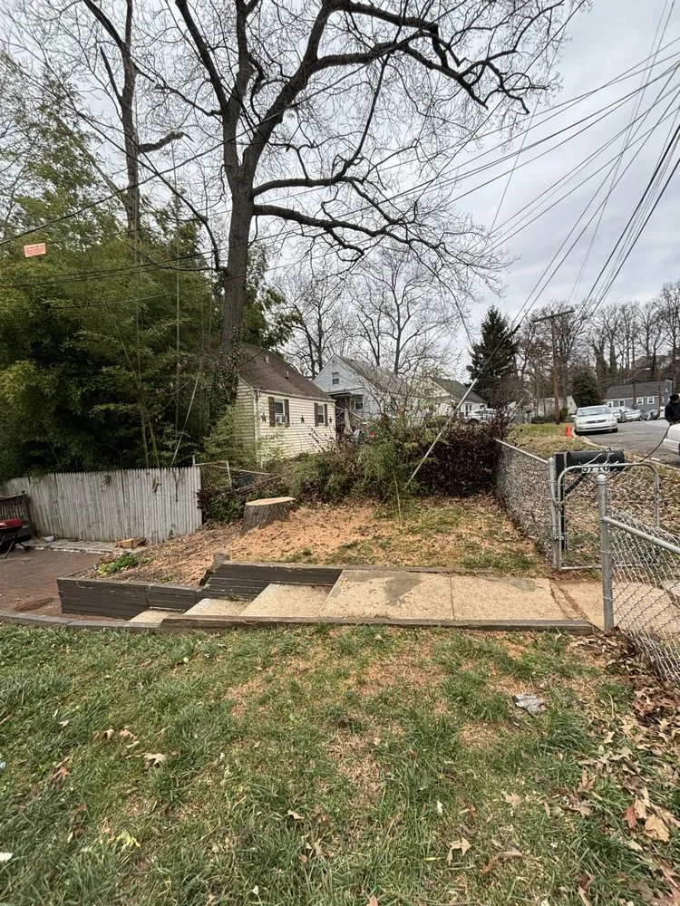 Reliable lawn mowing service experts serving Silver Spring, MD - Oliva's Tree Services & Landscaping