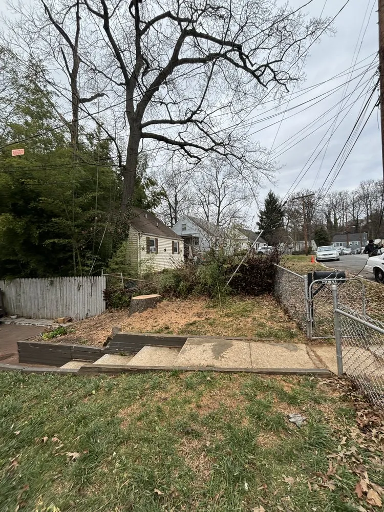 Top-rated lawn care service experts serving Silver Spring, MD - Oliva's Tree Services & Landscaping