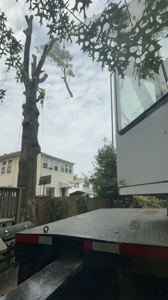 Affordable yard maintenance experts serving Silver Spring, MD - Oliva's Tree Services & Landscaping