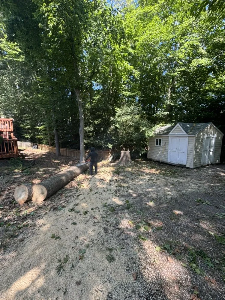 Local landscape installation for outdoor upgrades across Silver Spring, MD - Oliva's Tree Services & Landscaping