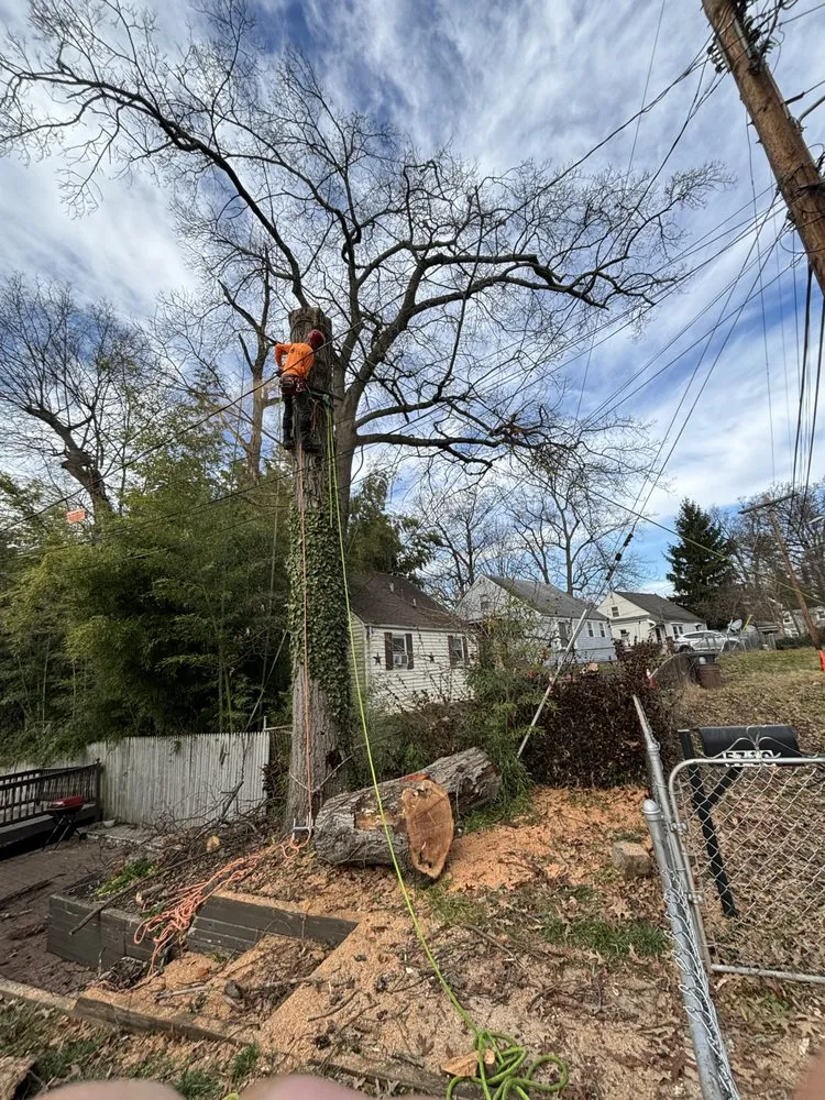 Trusted garden landscaping in Silver Spring, MD by Oliva's Tree Services & Landscaping