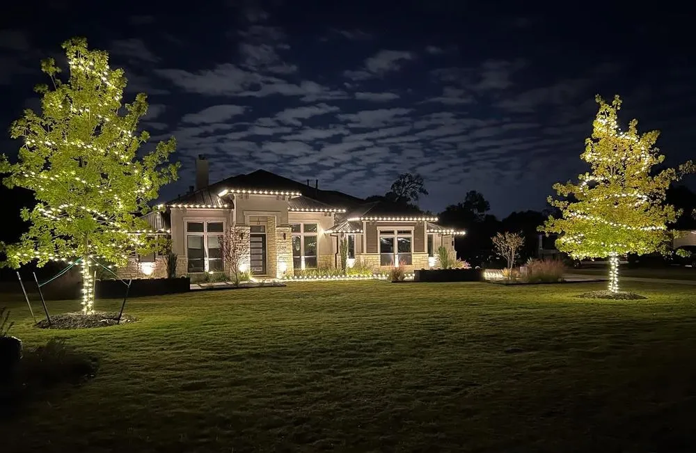 Custom yard cleanup service in Austin, TX - Olive & Oak Landscaping