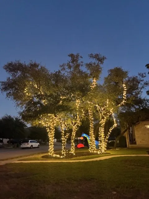 Custom landscape installation for outdoor upgrades in Austin, TX by Olive & Oak Landscaping