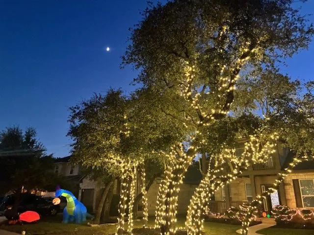 Custom landscape design in Austin, TX by Olive & Oak Landscaping