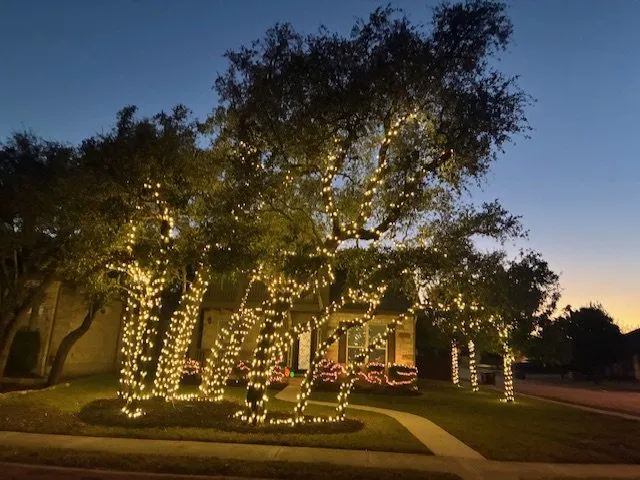 Reliable landscaping services in Austin, TX by Olive & Oak Landscaping