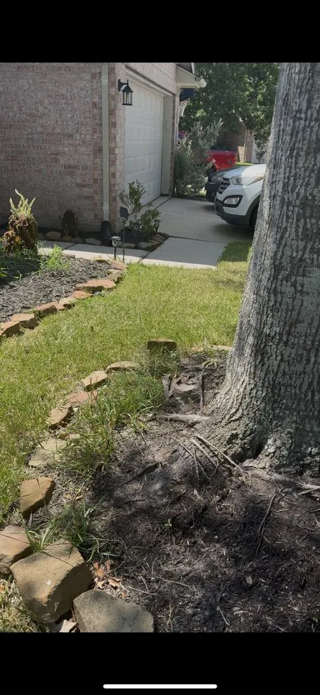 Trusted yard maintenance experts serving Houston, TX - Olive Branch Home Improvement And Lawn Care