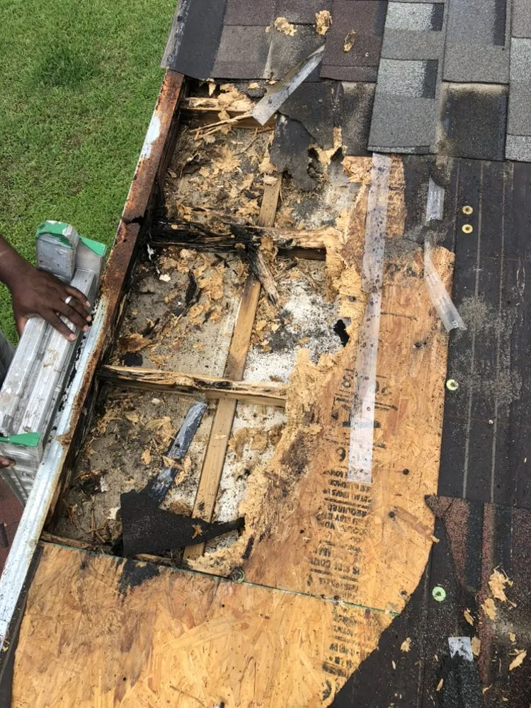 Expert yard cleanup service experts serving Houston, TX - Olive Branch Home Improvement And Lawn Care